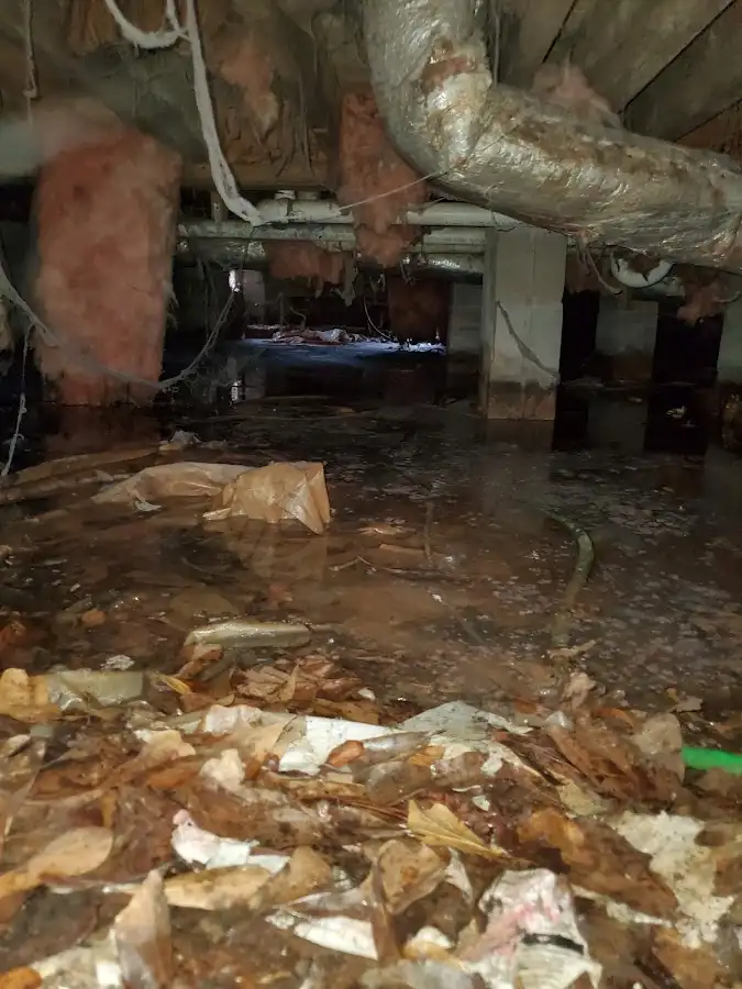 Crawl space flood assessment for Leak Detection & Repair in El Paso